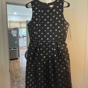 Jcrew skater cut holiday dress - polka dot- excellent condition